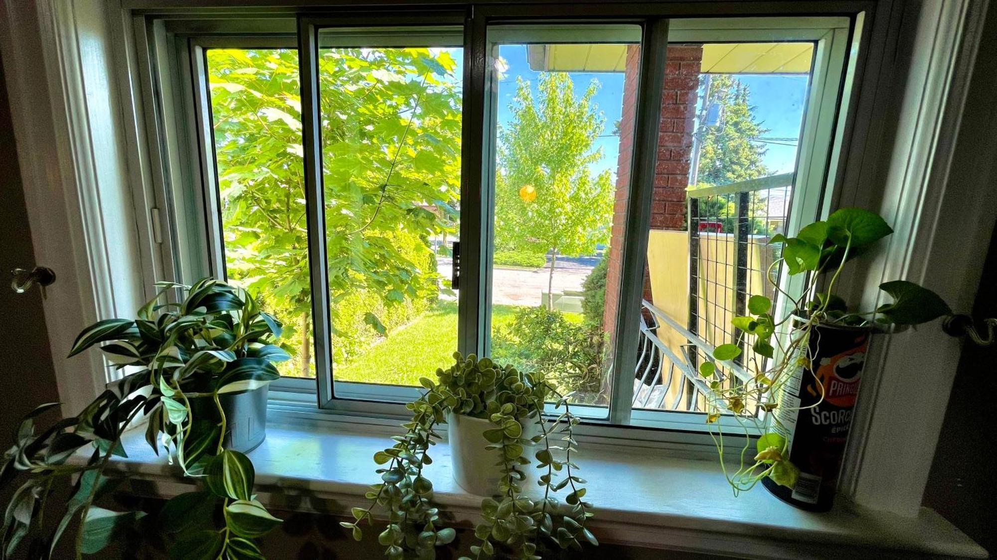 Glengrove Cozy Home Toronto Kültér fotó